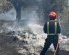 Susto en Colmenarejo por un incendio que amenazaba a varios chalets