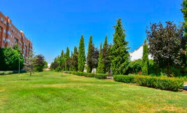La Comunidad de Madrid eleva a nivel 2 el riesgo por la ola de calor