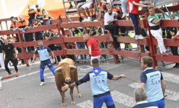 Diez heridos por contusiones en el cuarto encierro de Sanse