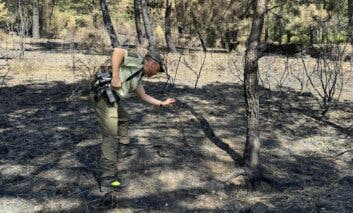 Ayuso reclamará a los autores los gastos de extinción de los incendios de este verano