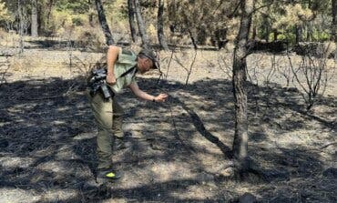 Ayuso reclamará a los autores los gastos de extinción de los incendios de este verano