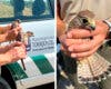 Tres cernícalos rescatados en Torrejón alzan el vuelo tras semanas de recuperación