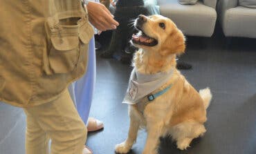 El Hospital de Torrejón incorpora la terapia con perros en Psiquiatría para mejorar la recuperación de los pacientes