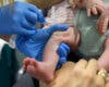 La Comunidad de Madrid abre este lunes la cita previa para vacunar a bebés contra la bronquiolitis