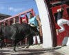 Once heridos en el séptimo encierro de San Sebastián de los Reyes