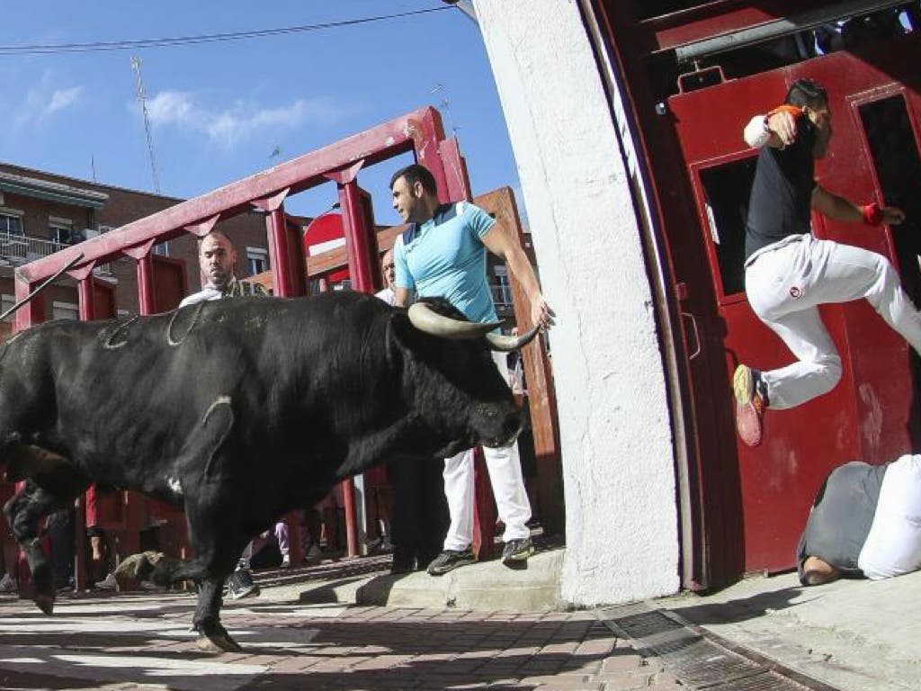 Once heridos en el séptimo encierro de San Sebastián de los Reyes