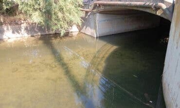 Investigan la aparición de aves acuáticas muertas en el arroyo del Monte de Daganzo