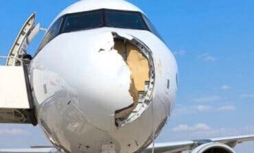 Aterrizaje de emergencia en Barajas de un avión de Iberia tras chocar contra un buitre