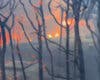 Muere el hombre herido con quemaduras en el incendio de Tres Cantos, ya perimetrado tras arrasar más de 1.000 hectáreas