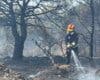 Controlado un incendio que ha obligado a desalojar varias viviendas en Torrelodones