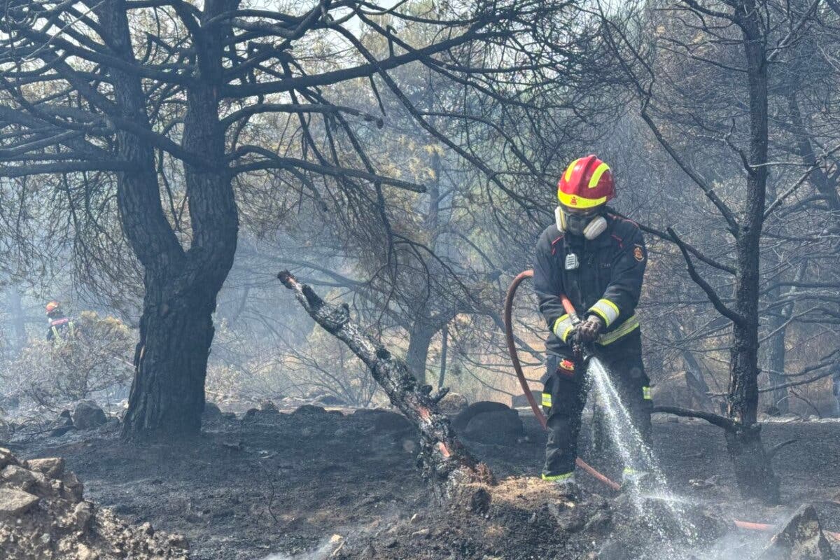 Controlado un incendio que ha obligado a desalojar varias viviendas en Torrelodones