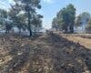 Estabilizado un incendio de vegetación en Pozuelo junto a la M-40