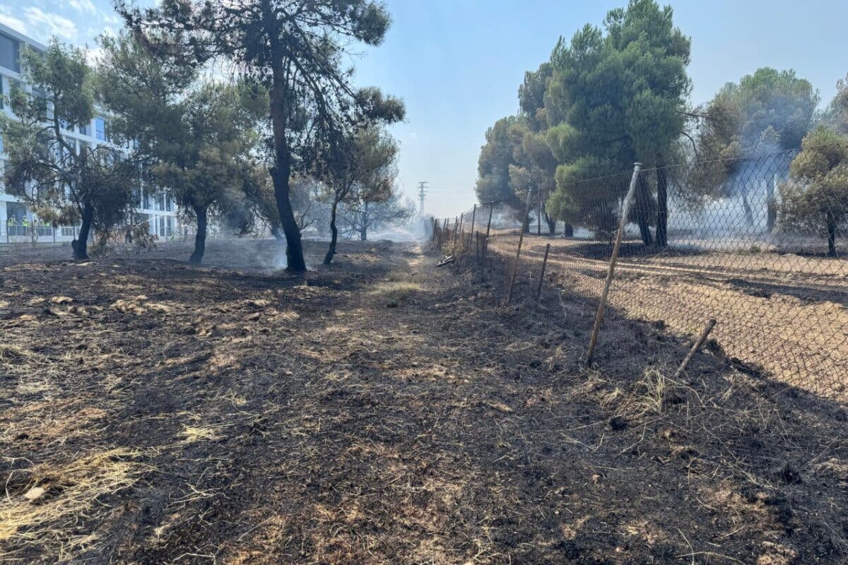 Estabilizado un incendio de vegetación en Pozuelo junto a la M-40