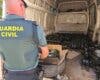 Dos detenidos tras robar 511 botellas de aceite de oliva en la A-2.