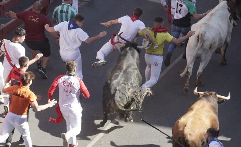 Un herido por asta de toro en el quinto encierro de San Sebastián de los Reyes