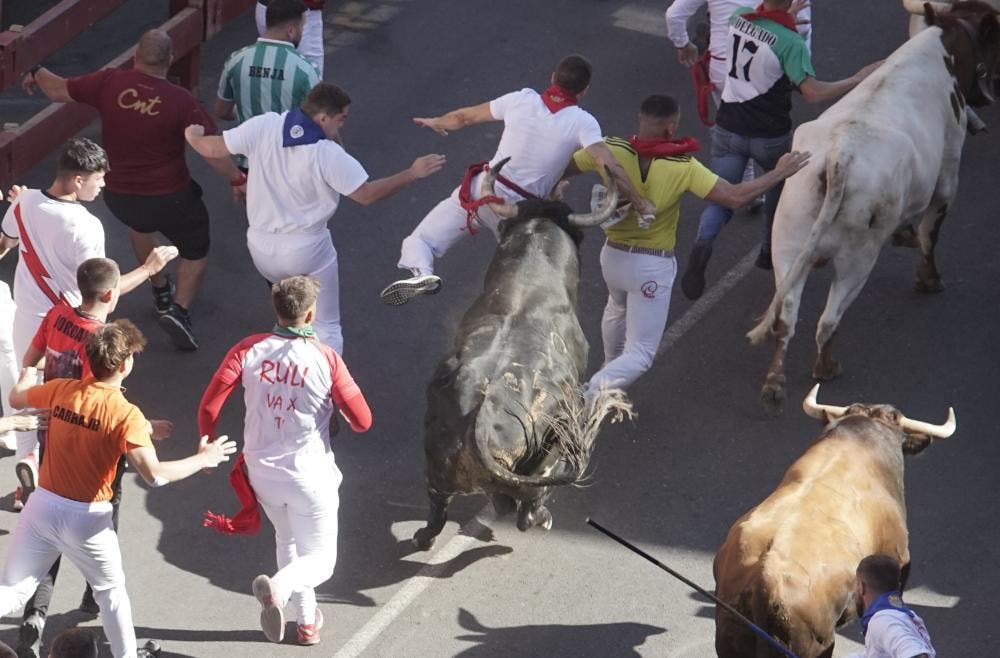 Un herido por asta de toro en el quinto encierro de San Sebastián de los Reyes