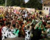 Veteranas, caldereta popular y hasta tres encierros por el campo en las fiestas de Iriépal 