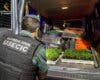 Dos detenidos en Pozo de Guadalajara con 400 plantas de marihuana en una furgoneta