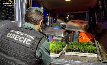 Dos detenidos en Pozo de Guadalajara con 400 plantas de marihuana en una furgoneta