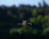 La Comunidad de Madrid patenta un dron autónomo para detectar plagas y proteger cultivos