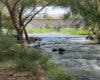 Guadalajara retira 260 toneladas de residuos del río Henares