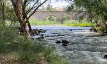 Guadalajara retira 260 toneladas de residuos del río Henares