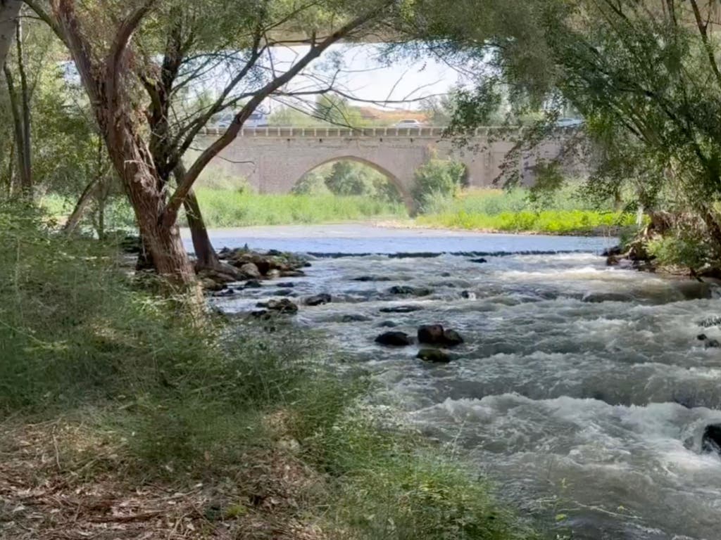 Guadalajara retira 260 toneladas de residuos del río Henares