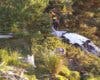 Muere el piloto de una avioneta sin motor al estrellarse en Peñalara