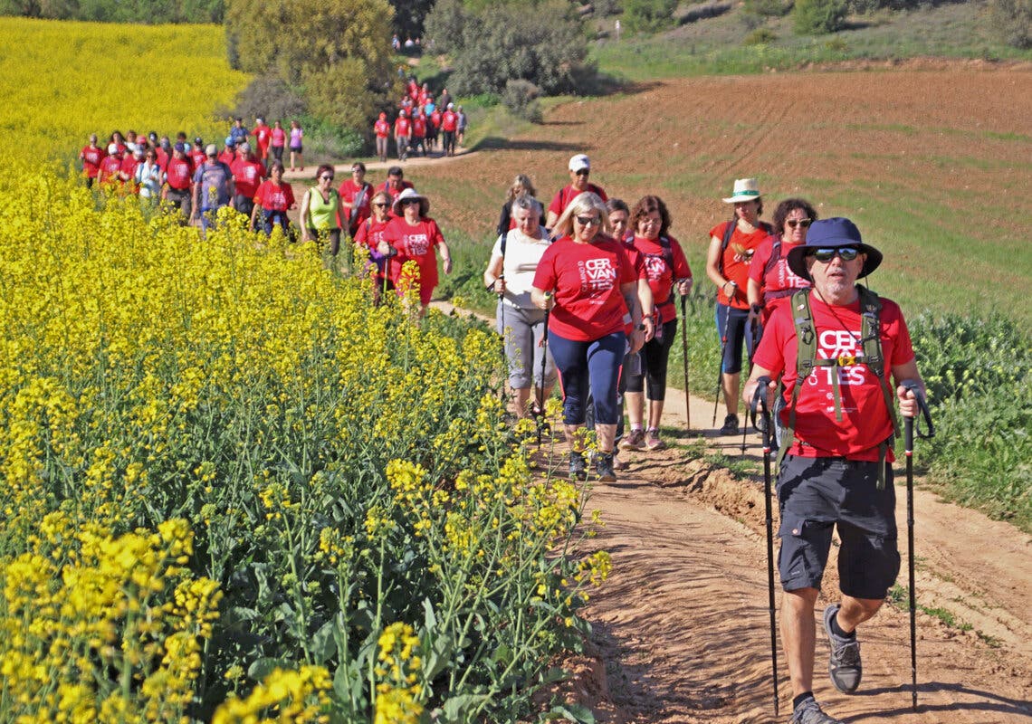 El Camino de Cervantes regresa este domingo con su primera ruta desde el Hospital de Torrejón
