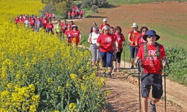 El Camino de Cervantes regresa este domingo con su primera ruta desde el Hospital de Torrejón