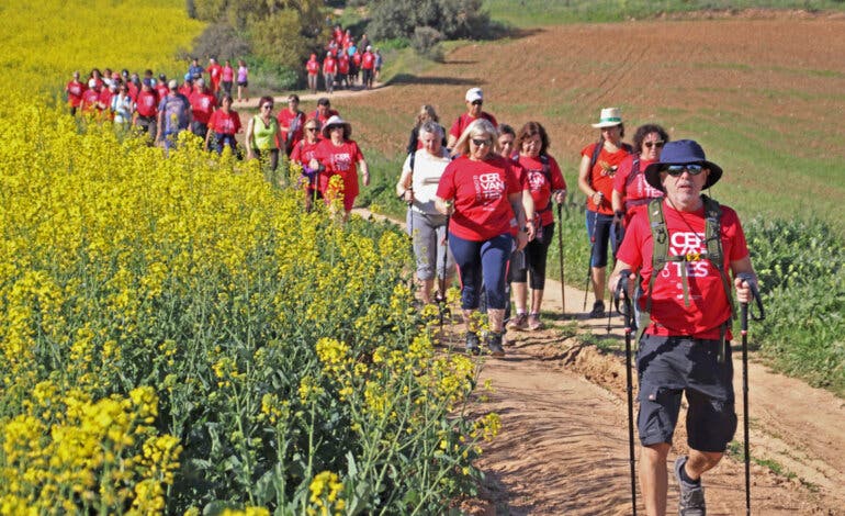 El Camino de Cervantes regresa este domingo con su primera ruta desde el Hospital de Torrejón
