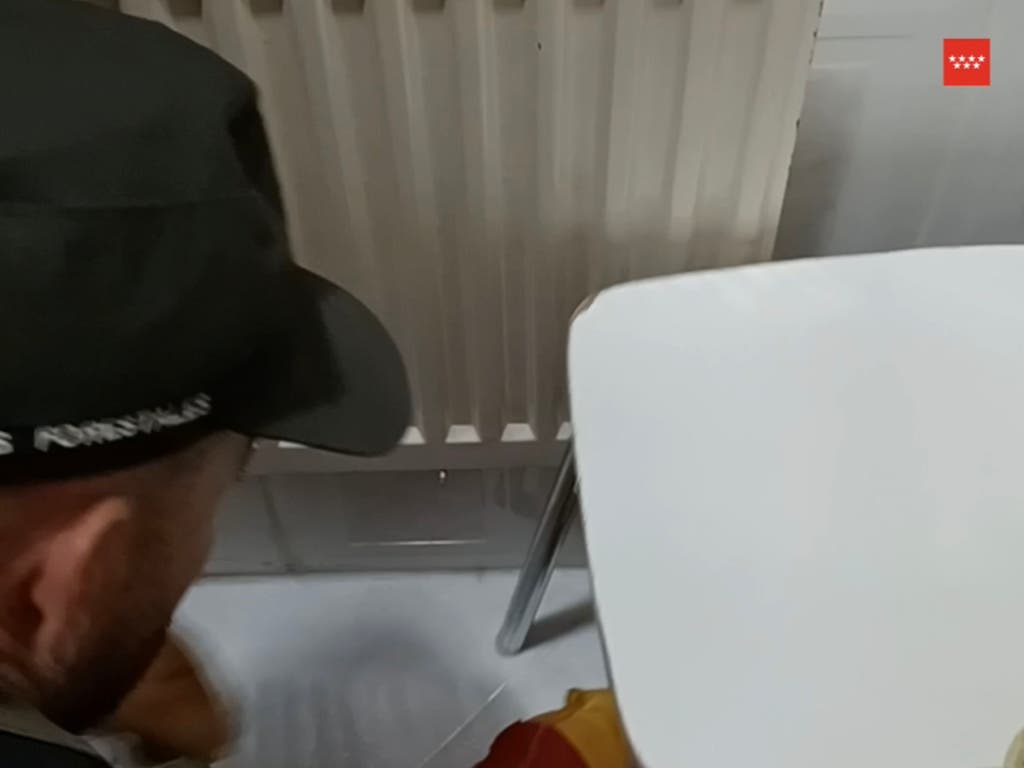 Susto en Campo Real al encontrar una culebra de escalera en el baño