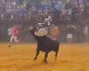 Tremenda cogida en un encierro en las Fiestas de Loeches