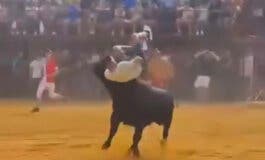 Tremenda cogida en un encierro en las Fiestas de Loeches