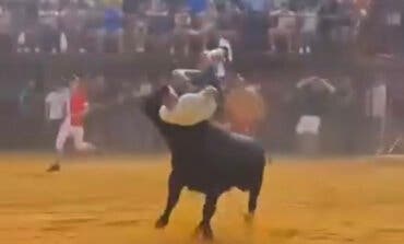 Tremenda cogida en un encierro en las Fiestas de Loeches
