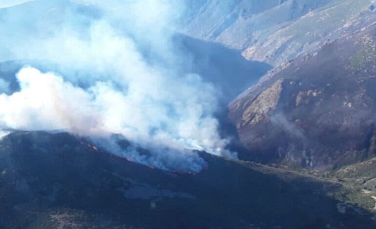 Evacúan dos pueblos de Guadalajara por el incendio de Peñalba de la Sierra que se agrava