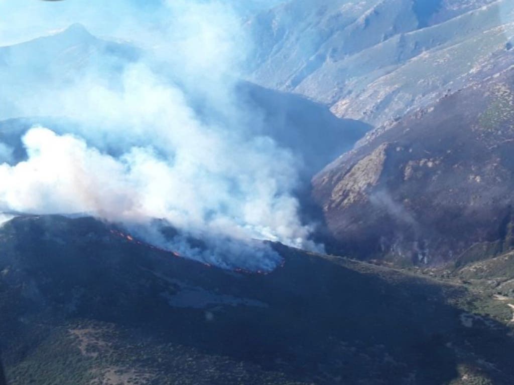 Evacúan dos pueblos de Guadalajara por el incendio de Peñalba de la Sierra que se agrava