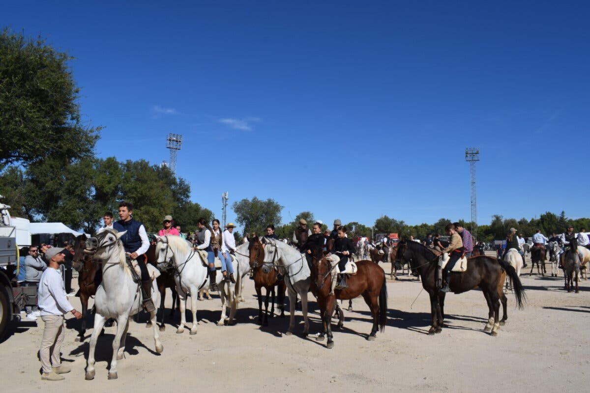 Caballos, concursos y flamenco este sábado en la romería de Mejorada del Campo