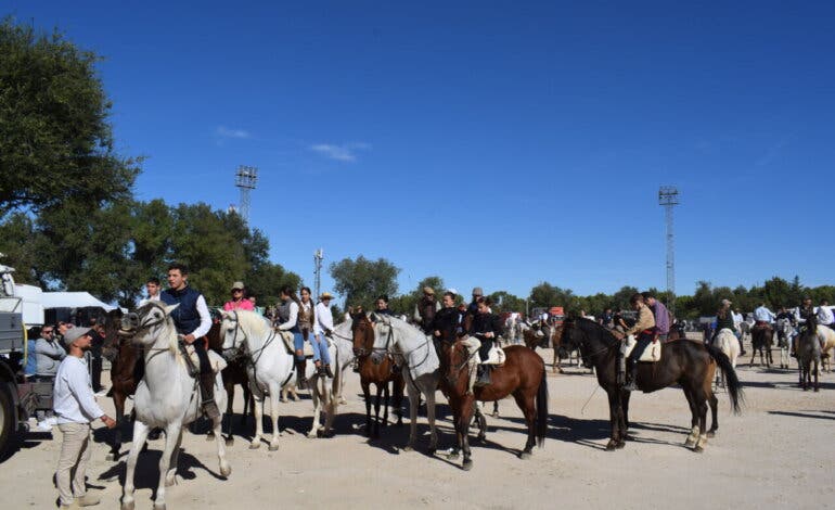 Caballos, concursos y flamenco este sábado en la romería de Mejorada del Campo