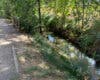 Alcalá de Henares retira más de 12 metros cúbicos de residuos del Arroyo Camarmilla