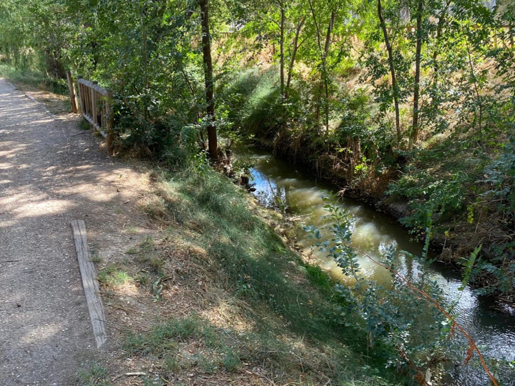 Alcalá de Henares retira más de 12 metros cúbicos de residuos del Arroyo Camarmilla