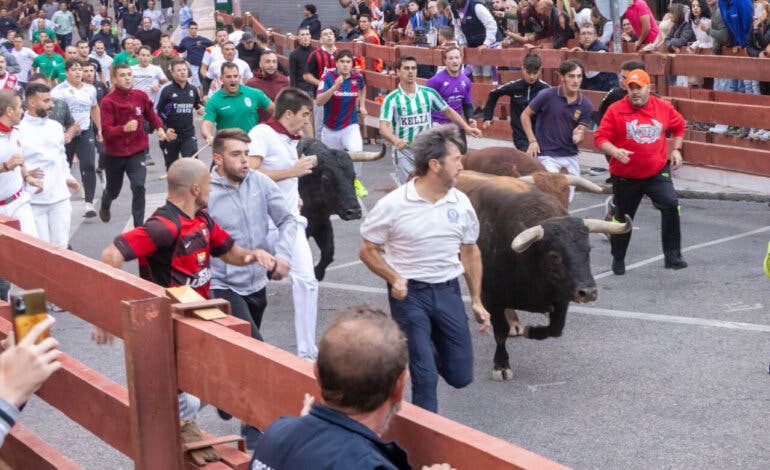 Los encierros de Guadalajara regresan al casco histórico con un nuevo recorrido y medidas reforzadas