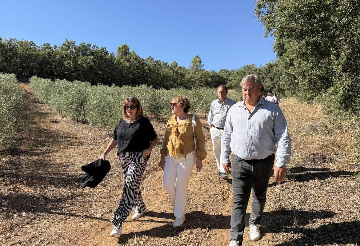 Un mirador y áreas de descanso para recuperar un camino histórico en Nuevo Baztán