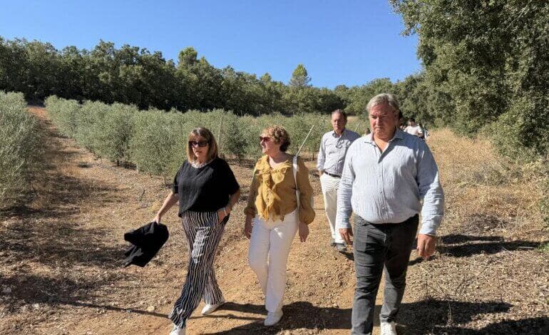 Un mirador y áreas de descanso para recuperar un camino histórico en Nuevo Baztán