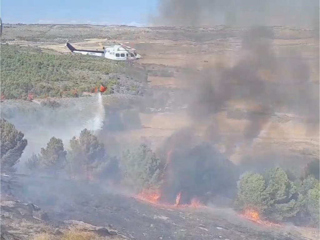 Un incendio arrasa 16 hectáreas entre Estremera y Guadalajara