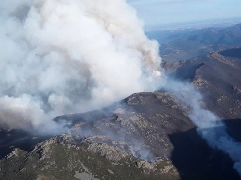 Varios brigadistas retirados del incendio de Peñalba de la Sierra (Guadalajara) por posible intoxicación