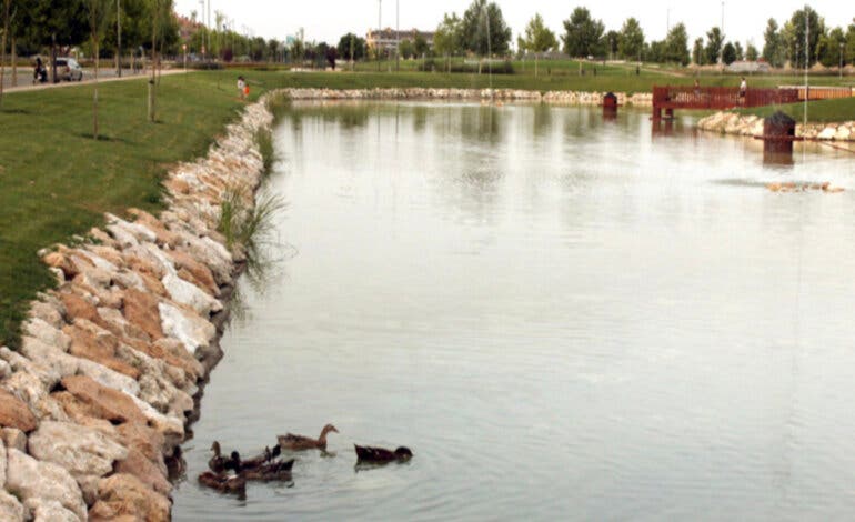Cierran un parque de Yebes tras detectar dos patos con gripe aviar