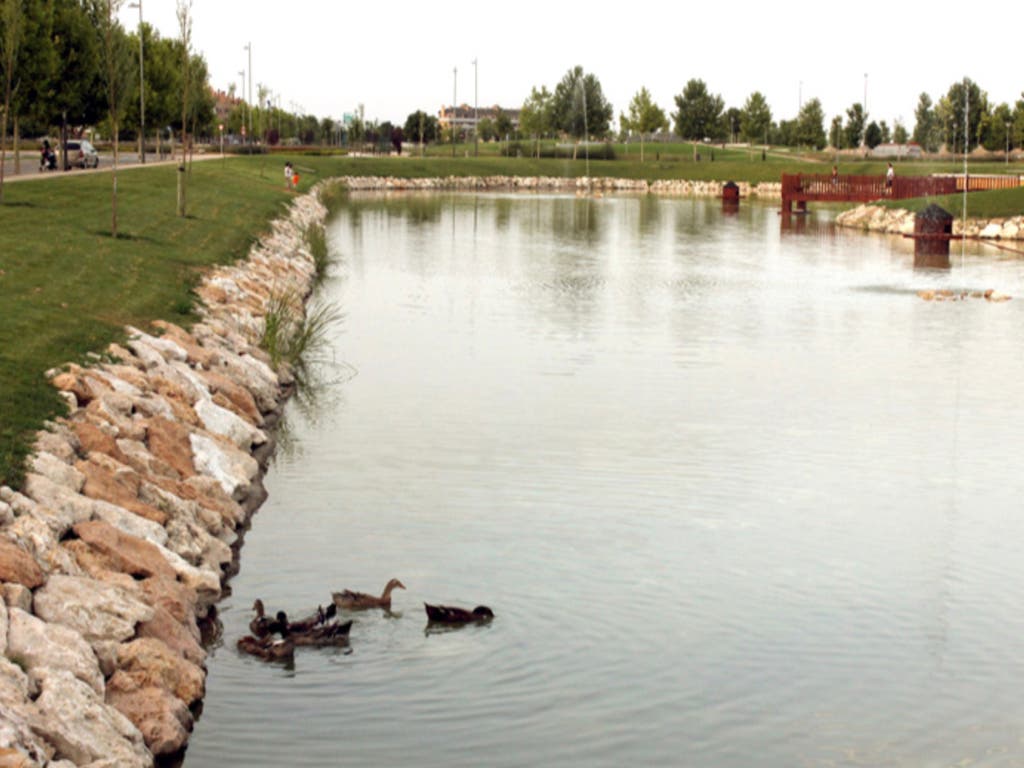 Cierran un parque de Yebes tras detectar dos patos con gripe aviar