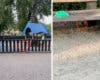 Ratas en un parque infantil de Coslada repleto de familias con niños
