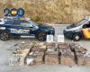 Detenido en Torrejón el conductor de una furgoneta cargada con una tonelada de hachís